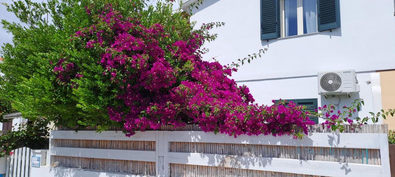 Piero'S Apartment كالاسيتا المظهر الخارجي الصورة